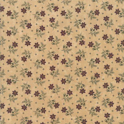 Toad Lily Sand