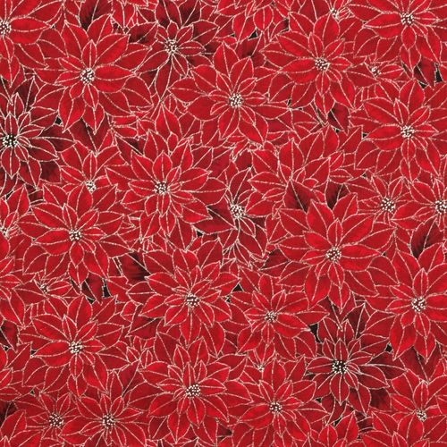 Poinsettia Red/Silver