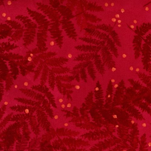 Ferns Ruby