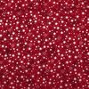 Star Sprinkle Stars Small Red/Silver